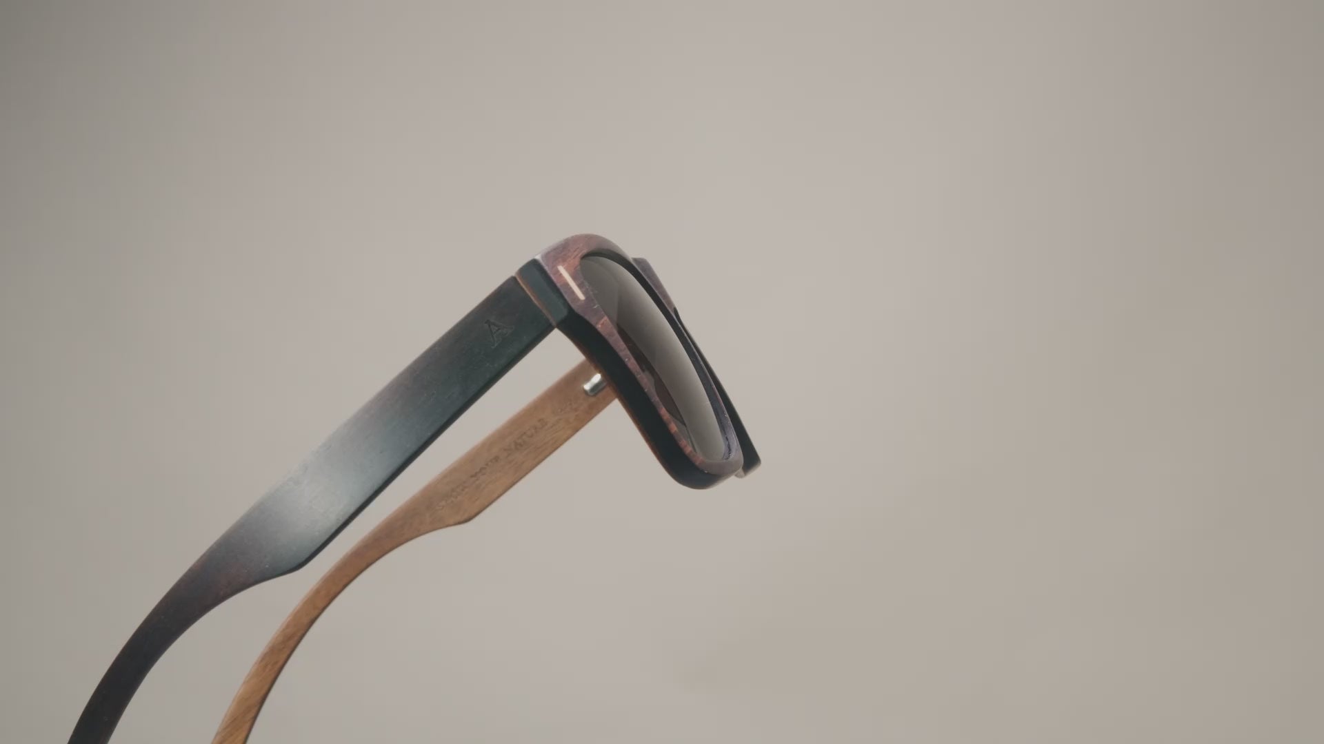 Monza - Ebony Sunglasses Aarni